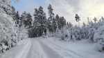 Без подписи