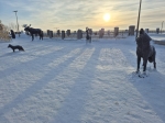 Без подписи