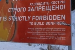1 фрагмент