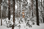 Храм в лесу