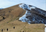 Без подписи
