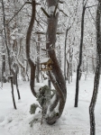 Без подписи