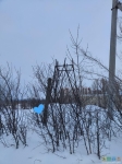 Виртвопрос