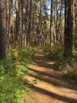 Без подписи