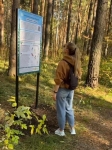Без подписи