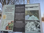 Без подписи