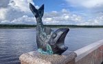 Без подписи