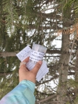 Без подписи