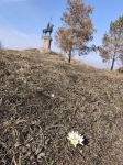 Без подписи