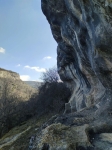 Без подписи