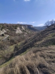 Без подписи