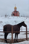 Без подписи