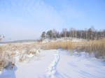Без подписи