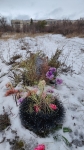 Без подписи