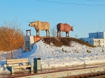Без подписи