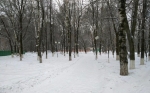 Без подписи