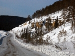 Скальник