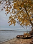 Без подписи