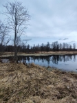 Без подписи