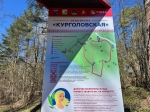 Без подписи
