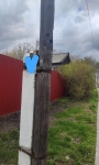 Без подписи