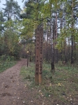 Без подписи
