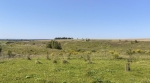 Высота 212 и овраг Ржавец