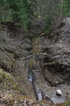 Каньон реки