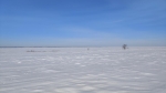Без подписи