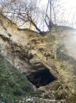 Без подписи
