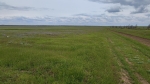 Без подписи