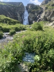 Без подписи