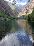 Без подписи