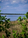 Без подписи