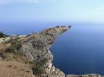 Без подписи