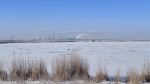 Без подписи