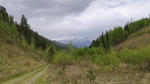 Без подписи