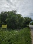 Без подписи