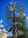 Без подписи