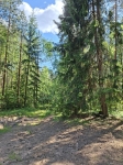 По прямой пруд, справа тайник