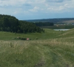 Без подписи