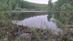 Без подписи