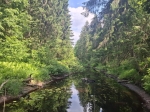 Без подписи