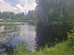 Без подписи