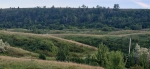 Без подписи