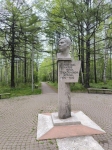 Без подписи