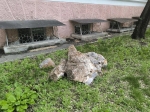 Без подписи
