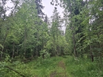 Без подписи