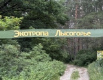 Без подписи