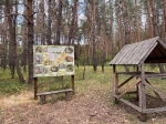Без подписи